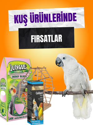 Kuşlarınıza Özel Fırsatlar!